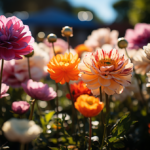 Creating a Colorful Flower Garden Choosing the Right Blooms